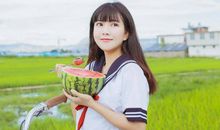 百变巫女十二星座2019年运势大全