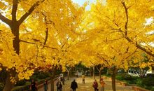 算命说：11月6号，迎大喜、中头奖，3生肖时来运转，福禄八方来，好日子躲不掉