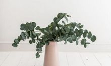 唐绮阳/唐立淇周末运势（10.26-10.27）