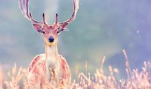 GEO老师谈：2019年最后一次水逆，对12星座的影响