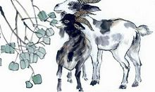 2003年属羊的人2019年运势大全及破解(图文)