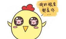 属鸡的男生在2020年的财运如何