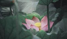 特大好消息！十月中旬，运势大好，铁定发大财的3属相