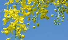 下周发大财、中头奖，100%特大好消息，3生肖不得了，买房买车，身价蹭蹭涨