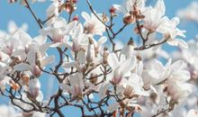 10月下旬福运多，财源广的生肖，不再破财走霉运，往后没事可愁