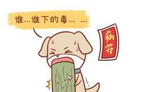 2020年里属狗男财运怎么样