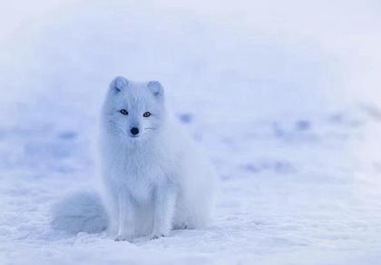 2019年大雪后一天可不可以出远门,大雪吃什么传统食物？(图文) 1