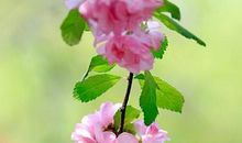 10月19日财运到，4大星座拥有更好发展，获得更多财富，令人羡慕