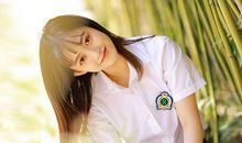 11月上旬，喜从天降，双喜临门，3生肖发横财、中头奖，金银滚滚躲不掉