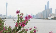 11月1号财运倍增，双喜临门，横财不请自来，3生肖天天开口笑，金银大奖躲不掉