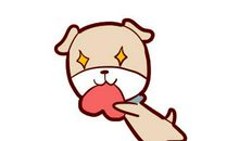 男属马和女属狗的婚姻如何：互相信任，感情稳定