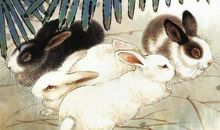 玄清风水命理：未来3个月运呈吉祥，3生肖正财兴旺，事业红火，富贵不发愁