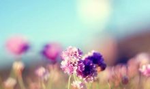 城府很深，心智极为成熟的三大星座，但做人有原则，从不惹是生非