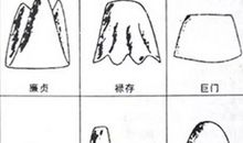 风水堪舆知识--杨公九星图解