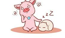 2020年属猪男财运怎么样，如何增加收入