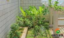 运用这些花园风水，不怕运势不好！