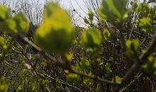 晨霁2019年9月份巨蟹座星座运势：迷茫与压力