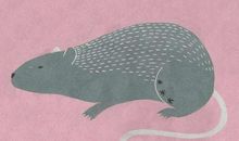 爱情里，生肖女最放不下的生肖男！