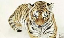 生肖虎、鼠、鸡，气势逼人，心思敏锐，霉运不敢近身