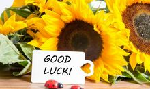 下周一开始，运势红红火火的三个生肖，一发不可收拾！