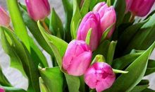 10月26号起求财顺遂，有数不清的财富进家门，越来越有钱的生肖