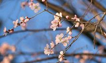 11月开始狗屎运不停，财进门桃花开的生肖，脱贫致富，生活特精彩