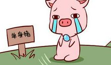 属猪的男人对待感情的态度：憨厚的他很会宠人