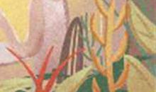 右耳有痣的男人