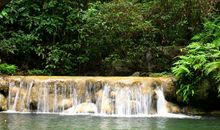 11月开始财运红火，大赚钱财的生肖，生活越过越顺心，富贵无忧