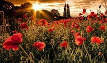 未来三个月事业越做越大，意外之财不断，逆袭成为有钱人的3生肖