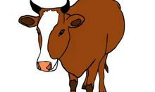 失败不易被打败，能东山再起的三大生肖，你是吗？