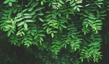 横财大奖爆棚的3属相，15天内财运涨不停，财源广进