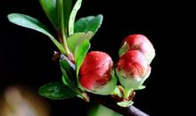 11月大展宏图，发家致富的生肖，赚得大财不少，日子滋润又多彩