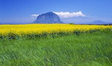 10月22、23号，运势飙涨，捞大横财，发横财赚大钱的三生肖