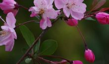 11月财神不请自来，财运遍地开花的属相，升职加薪，想不富贵都难