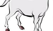 以前一直不顺，进入11月份桃花运财运都来的4个生肖