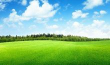 8月23日开始，好运难挡，横财大奖一起发，钞票堆成山一夜暴富3生肖