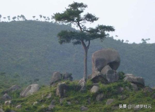 风水师罗桂元：为什么要学习中国的风水文化，看完你就知道了 11