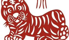 经过努力后会成为行业精英的四大生肖