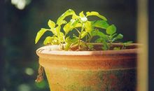 12星座在职场中最看不惯的行为是什么？