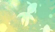 做梦梦到各种包包代表什么