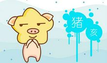 第一运程 2019年属猪11月运程解析