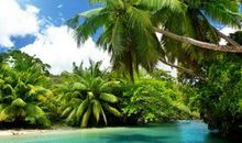 11月中旬赶走穷神，迎来财神的生肖，遍地黄金，全家富贵