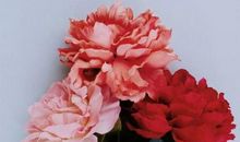 塔罗牌占卜：TA暧昧成瘾了？你们这段暧昧还有前景吗？