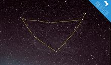 中西合璧：星座×生肖魔羯月生日图腾