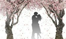 73年生肖牛人士最佳婚配的三个生肖属相