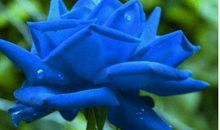 霉运不进门，贵人齐相聚的生肖，2020年财运红火，可以发大财