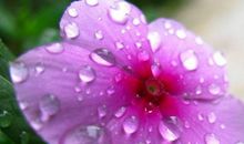 11月6号财神赐福，好运到来挡不住的生肖，好事不断，生活美满