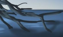 76年属相是什么_生肖年份