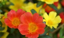 人身上的上等风水，原来是这个！千万别弄丢了